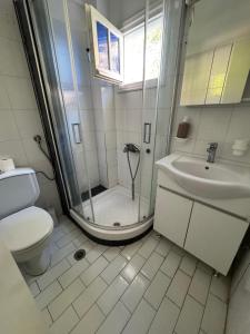 a bathroom with a shower and a toilet and a sink at Serene appartment at St. Ioannis in Agios Ioannis Pelio +19 photos