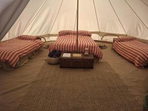 a tent with two beds and a rug at Luxury Glamping - Heydaze in Lostwithiel