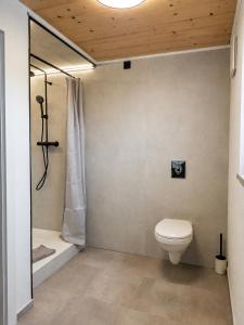a bathroom with a toilet and a shower at Toms ONE in Saalfelden am Steinernen Meer