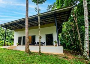 a house in the middle of a forest at Urban Canopy City Forest Staycation in Tigbawan
