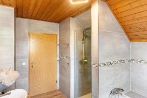a bathroom with a shower and a sink at Work&Travel-Pension Tobias in Selb +21 photos