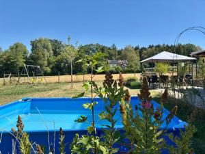 a garden with a pool and a playground at Ferienwohnungen Am Winkelhof in Deggenhausertal