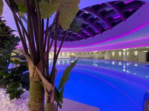 a large swimming pool with a plant next to it at Hanza Tower Luxury in Szczecin