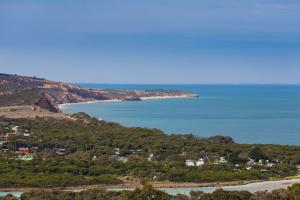 a view of a beach and the ocean from a hill at Anglesea River Apartment 22 in Anglesea