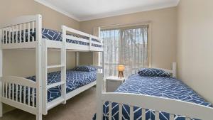 a bedroom with two bunk beds and a window at Majestic Views in Marengo