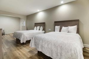 a hotel room with two beds with white sheets at Red Roof Inn PLUS + Galveston - Beachfront in Galveston +29 photos