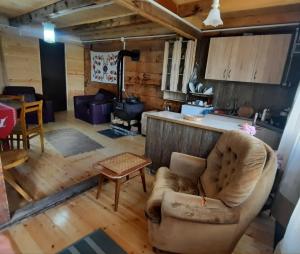 a living room with a couch and a stove at Bakhmaro Lodge in Chʼkhakoura