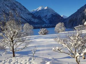Paesaggio naturale nelle vicinanze dell'appartamento