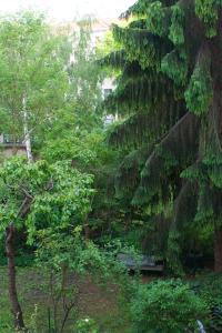 Um jardim no exterior de Wohnzimmer