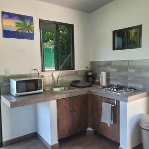 a kitchen with a sink and a microwave on a counter at Torogoz Apartment km61 5 in Jicalapa