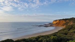 an aerial view of a beach with the ocean at 40 Aireys Street in Aireys Inlet