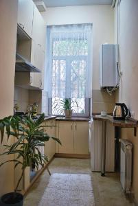 a kitchen with a potted plant and a window at Classic Apartment on Zhukovskoho in Odesa