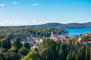a small town on a hill with trees and a lake at Mladinic Palace in Milna