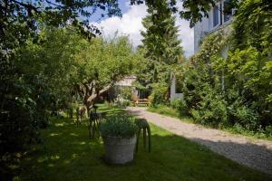 Vườn quanh Achter het witte huis