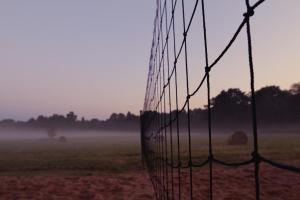 Fotografie z fotogalerie ubytování Metsara B & B v destinaci Tornimäe