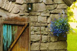 Fotografie z fotogalerie ubytování Metsara B & B v destinaci Tornimäe