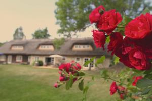 Zahrada ubytování Metsara B & B