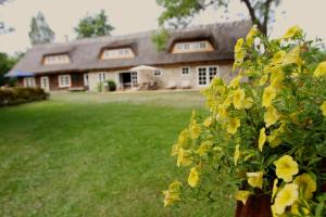 Zahrada ubytování Metsara B & B