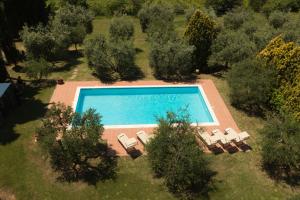 una vista aérea de una piscina con sillas y árboles en Agriturismo Villa Panorama, en Sinalunga