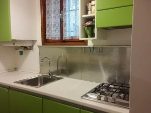 ヴェネツィアにあるCaterina's Homeのキッチン(緑のキャビネット、シンク付)