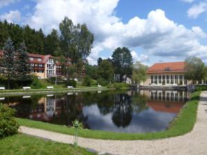 Příroda nedaleko hotelu