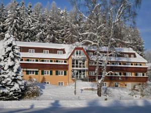 Parkhotel Bad Brambach v zimě