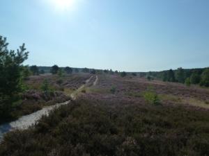 Paesaggio naturale nelle vicinanze dell'appartamento