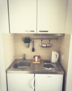 uma cozinha com um lavatório e uma bancada em Apartments Legacy em Belgrado