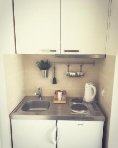 A kitchen or kitchenette at Apartments Legacy