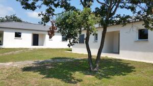 un albero di fronte a un edificio bianco di Villa E Lecce a Santa-Lucia-di-Moriani