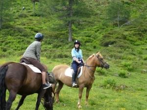 Ein Mann und eine Frau reiten auf Pferden auf einem Feld in der Unterkunft Pension Pürcherhof in Gröbming