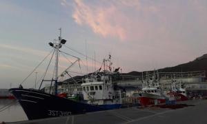 桑托尼亚Hospedaje La Tortuga的相册照片