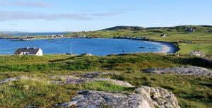a view of a body of water in a field at Dolphin Hotel in Inishbofin