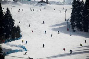 Fotografie z fotogalerie ubytování Jura Hotels Ilgaz Mountain Resort v destinaci Ilgaz