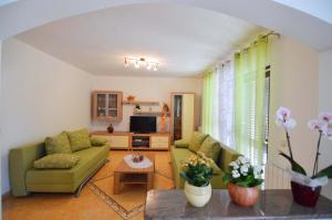 a living room with a green couch and a tv at Garden Apartment Maria in Vrsar