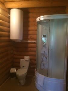 a bathroom with a toilet and a walk in shower at Viesu Nams Vecupe in Birzgale