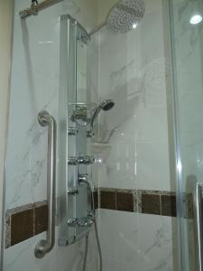 een douche in een badkamer met een glazen deur bij Americas Best Value Inn & Suites - Houston/Hwy 6 & Westpark in Houston