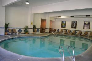 a large swimming pool in a hotel room at Cedar Lodge in El Portal