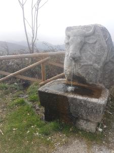 Fotografia z galérie ubytovania Le Chalet del Pollino v destinácii Rotonda