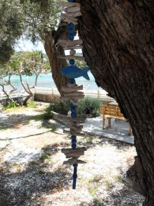 a wooden pole in a tree with a bird on it at Kalypso Studio in Paleokastritsa