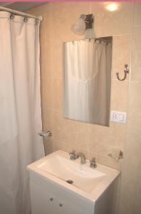 baño con lavabo y cortina de ducha en Apartamento Catalina Sur en San Miguel de Tucumán