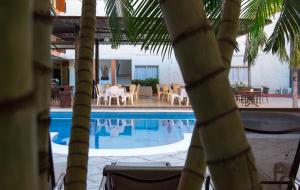 a view of a swimming pool through a palm tree at Porto Hotel in Lázaro Cárdenas