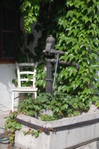 Fotografie z fotogalerie ubytování Hofgassl Zentgraf v destinaci Mörbisch am See