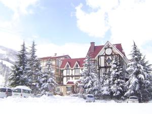 Rosenheim Hakuba v zimě