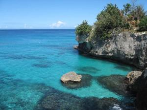 Gallery image of T&T - Tatty and Tony Guesthouse in Negril