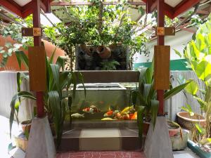 a large aquarium in a garden with plants at T Star Cottage Langkawi in Pantai Cenang