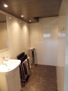 een badkamer met een wastafel en een douche bij Bij Noetsele in Nijverdal