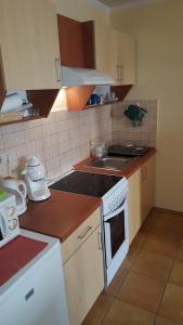 Kuchyňa alebo kuchynka v ubytovaní OKKER Apartman