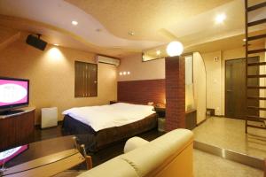 تلفاز و/أو أجهزة ترفيهية في Hotel RR (Adult Only)