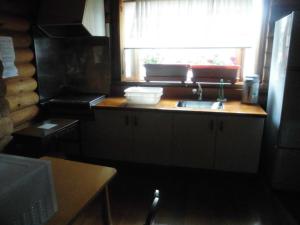 Kuchyň nebo kuchyňský kout v ubytování Log Cottage Villa Happo